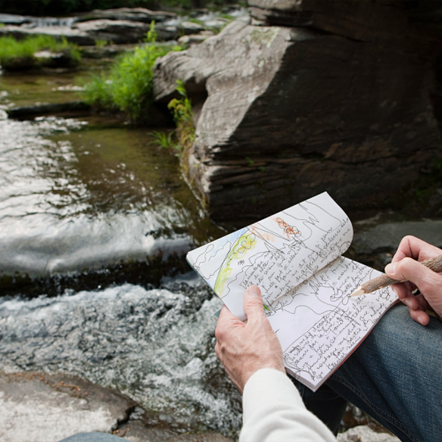 La nature, ma nature - Centre de Formation en Journal Créatif Anne-Marie Jobin